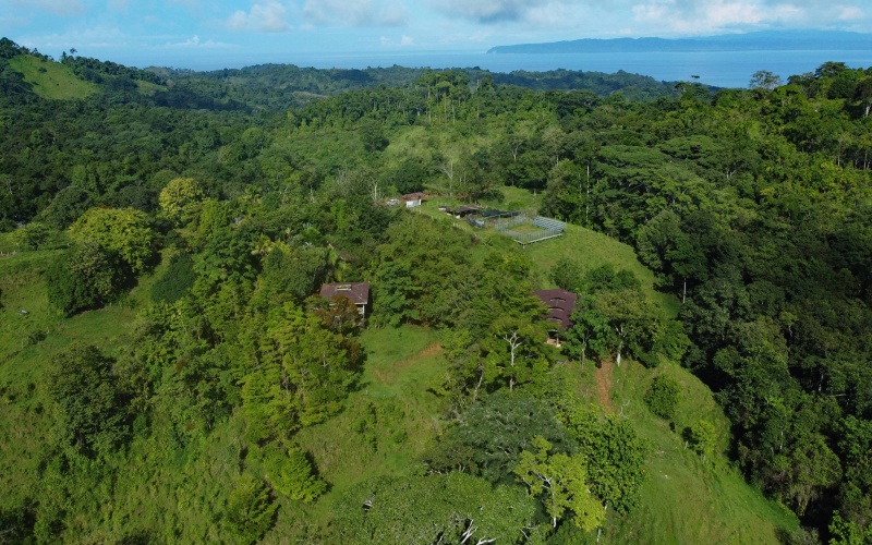 Farm for sale, Finca, Se Vende, Real estate, Real Estate agent, Costa rica, Pavones, 14 hectares, 34 acres, land for sale, Lot for sale