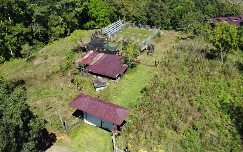 Farm for sale, Finca, Se Vende, Real estate, Real Estate agent, Costa rica, Pavones, 14 hectares, 34 acres, land for sale, Lot for sale