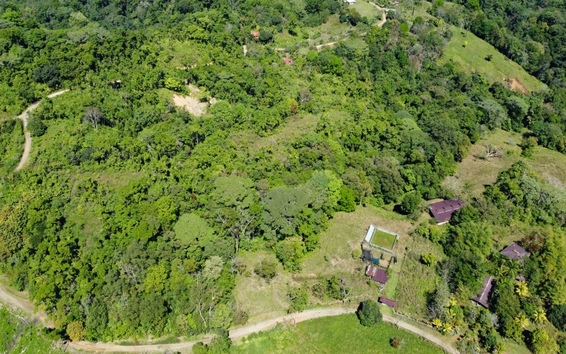 Farm for sale, Finca, Se Vende, Real estate, Real Estate agent, Costa rica, Pavones, 14 hectares, 34 acres, land for sale, Lot for sale