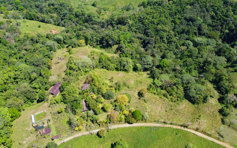 Farm for sale, Finca, Se Vende, Real estate, Real Estate agent, Costa rica, Pavones, 14 hectares, 34 acres, land for sale, Lot for sale