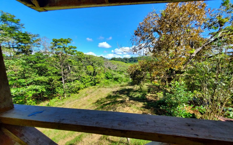 Farm for sale, Finca, Se Vende, Real estate, Real Estate agent, Costa rica, Pavones, 14 hectares, 34 acres, land for sale, Lot for sale