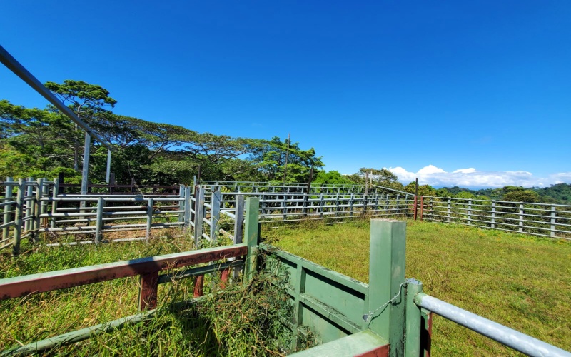 Farm for sale, Finca, Se Vende, Real estate, Real Estate agent, Costa rica, Pavones, 14 hectares, 34 acres, land for sale, Lot for sale