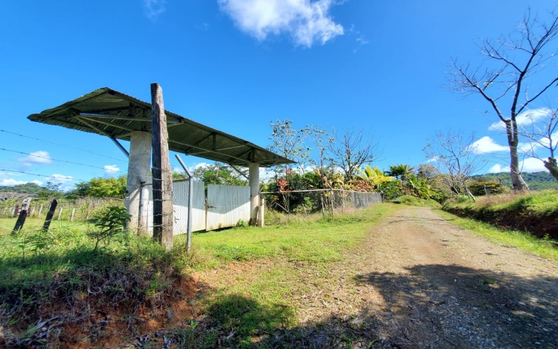 Farm for sale, Finca, Se Vende, Real estate, Real Estate agent, Costa rica, Pavones, 14 hectares, 34 acres, land for sale, Lot for sale