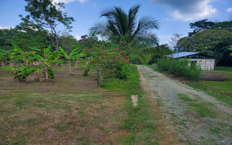 Lot for sale, Parcel for sale, Ocean View, Walking distance to the beach, Pavones, Playa Pavones, Pilon, Pavones Point Real Estate, Real estate for sale, Keller Williams, Eric Chavarria, La Hierba, Zancudo, Langostino, Cuervito, Punta Banco, Bienes Raices, Se vende, Lot en venta