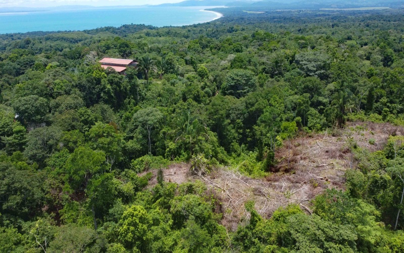 Pavones Real Estate, Pavones Costa Rica Real Estate, Real Estate for sale, Pavones, Keller Williams, Remax, Coldwell Banker, Pilon, Zancudo, Punta Banco, Pavones Properties for sale, Se vende, Lote, Land for sale, Lot for sale